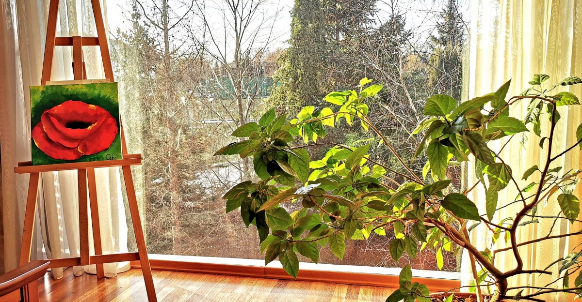 Панорамное окно 