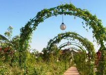 Зеленая арка в кп Золотые Купола